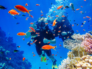 Vacances à la plage et plongée en Egypte